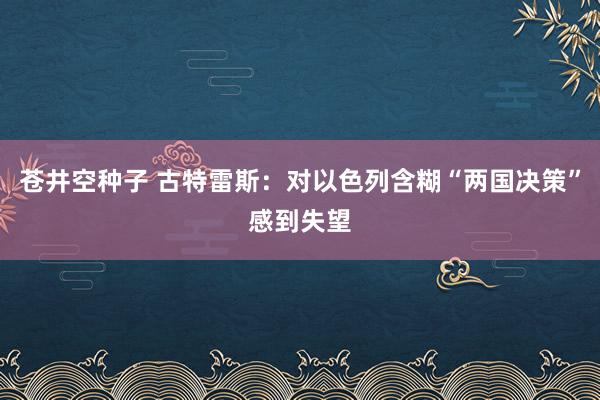 苍井空种子 古特雷斯：对以色列含糊“两国决策”感到失望