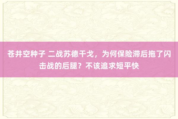 苍井空种子 二战苏德干戈，为何保险滞后拖了闪击战的后腿？不该追求短平快