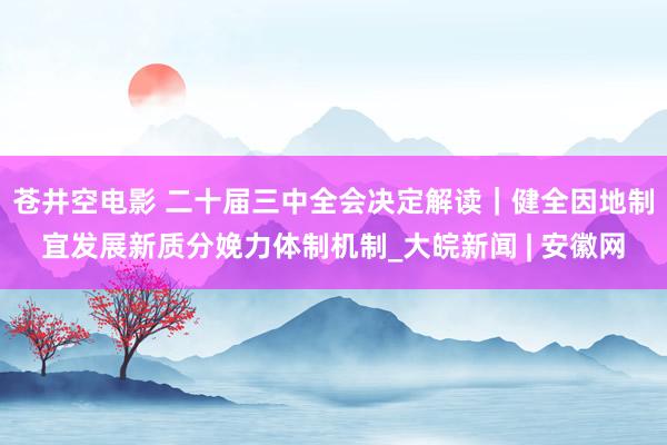 苍井空电影 二十届三中全会决定解读｜健全因地制宜发展新质分娩力体制机制_大皖新闻 | 安徽网