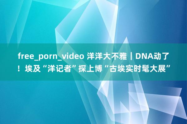 free_porn_video 洋洋大不雅｜DNA动了！埃及“洋记者”探上博“古埃实时髦大展”