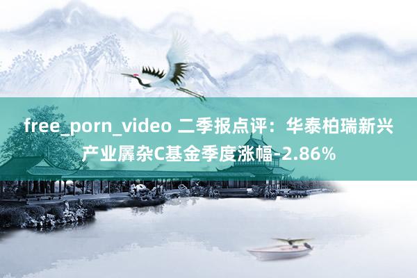 free_porn_video 二季报点评：华泰柏瑞新兴产业羼杂C基金季度涨幅-2.86%