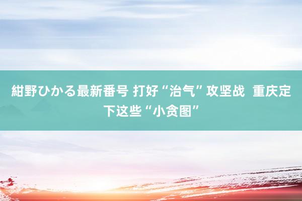 紺野ひかる最新番号 打好“治气”攻坚战  重庆定下这些“小贪图”