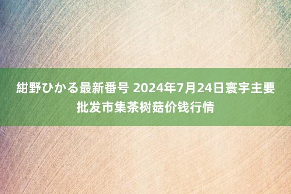 紺野ひかる最新番号 2024年7月24日寰宇主要批发市集茶树菇价钱行情