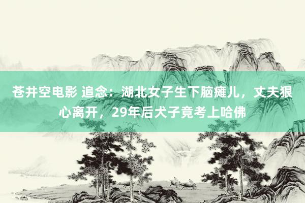 苍井空电影 追念：湖北女子生下脑瘫儿，丈夫狠心离开，29年后犬子竟考上哈佛