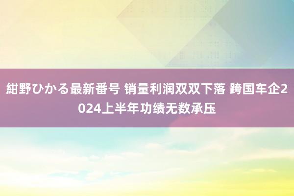 紺野ひかる最新番号 销量利润双双下落 跨国车企2024上半年功绩无数承压