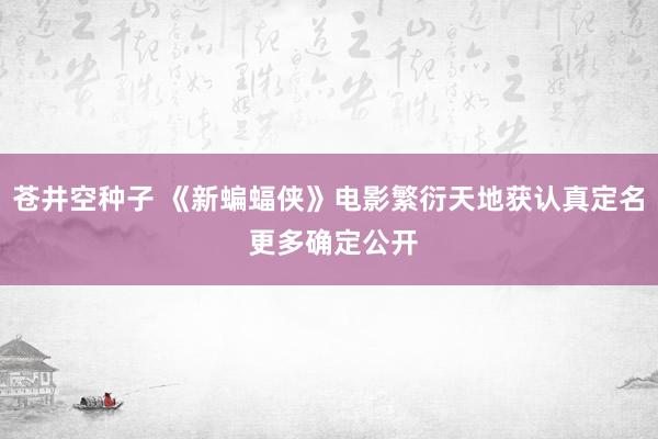 苍井空种子 《新蝙蝠侠》电影繁衍天地获认真定名 更多确定公开