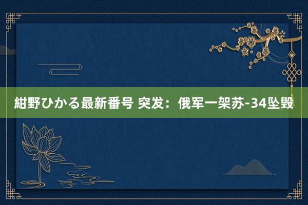 紺野ひかる最新番号 突发：俄军一架苏-34坠毁