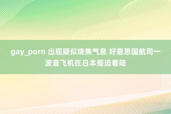 gay_porn 出现疑似烧焦气息 好意思国航司一波音飞机在日本蹙迫着陆