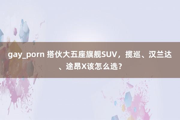 gay_porn 搭伙大五座旗舰SUV，揽巡、汉兰达、途昂X该怎么选？