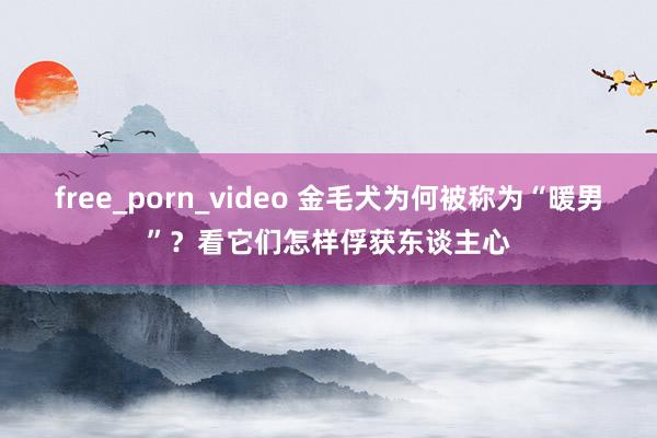 free_porn_video 金毛犬为何被称为“暖男”？看它们怎样俘获东谈主心