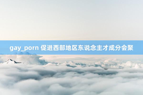 gay_porn 促进西部地区东说念主才成分会聚