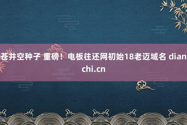 苍井空种子 重磅！电板往还网初始18老迈域名 dianchi.cn