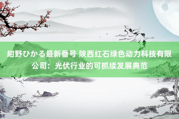 紺野ひかる最新番号 陕西红石绿色动力科技有限公司：光伏行业的可抓续发展典范