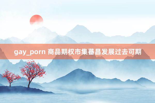 gay_porn 商品期权市集蕃昌发展过去可期