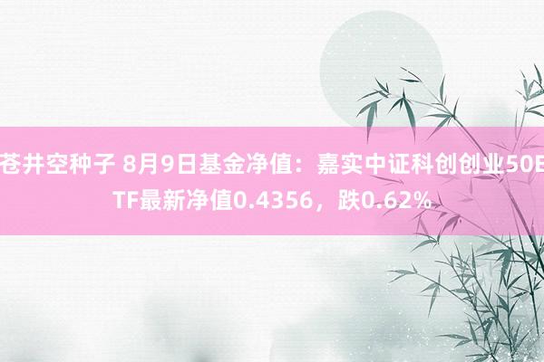 苍井空种子 8月9日基金净值：嘉实中证科创创业50ETF最新净值0.4356，跌0.62%