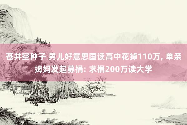 苍井空种子 男儿好意思国读高中花掉110万， 单亲姆妈发起募捐: 求捐200万读大学