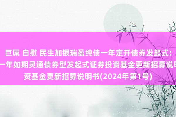 巨屌 自慰 民生加银瑞盈纯债一年定开债券发起式: 民生加银瑞盈纯债一年如期灵通债券型发起式证券投资基金更新招募说明书(2024年第1号)