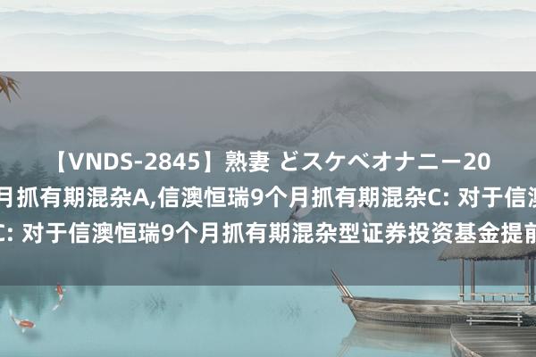 【VNDS-2845】熟妻 どスケベオナニー20連発！！ 信澳恒瑞9个月抓有期混杂A，信澳恒瑞9个月抓有期混杂C: 对于信澳恒瑞9个月抓有期混杂型证券投资基金提前终了召募的公告