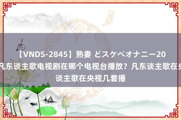 【VNDS-2845】熟妻 どスケベオナニー20連発！！ 凡东谈主歌电视剧在哪个电视台播放？凡东谈主歌在央视几套播