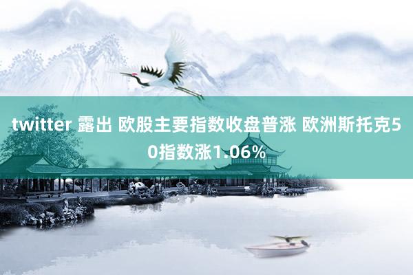 twitter 露出 欧股主要指数收盘普涨 欧洲斯托克50指数涨1.06%