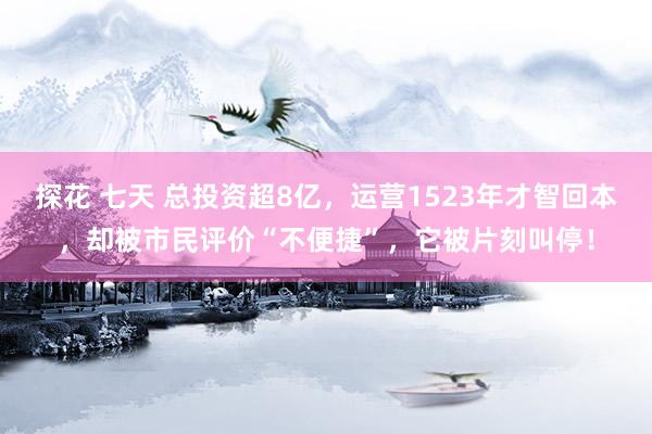 探花 七天 总投资超8亿，运营1523年才智回本，却被市民评价“不便捷”，它被片刻叫停！