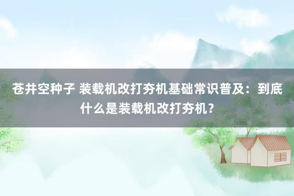 苍井空种子 装载机改打夯机基础常识普及：到底什么是装载机改打夯机？