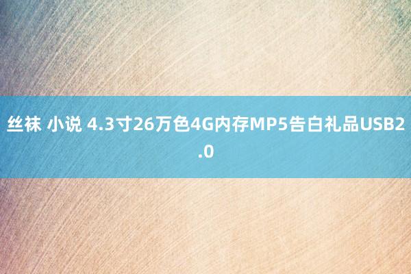 丝袜 小说 4.3寸26万色4G内存MP5告白礼品USB2.0