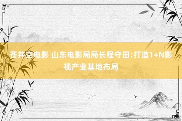 苍井空电影 山东电影局局长程守田:打造1+N影视产业基地布局