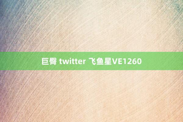 巨臀 twitter 飞鱼星VE1260