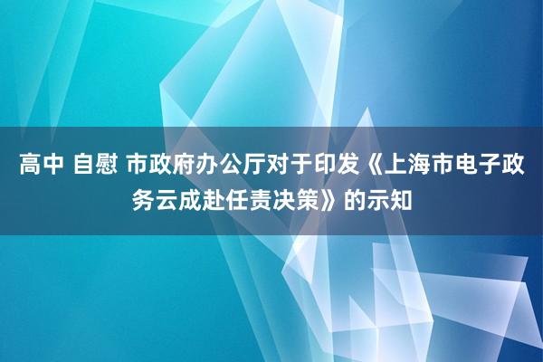 高中 自慰 市政府办公厅对于印发《上海市电子政务云成赴任责决策》的示知