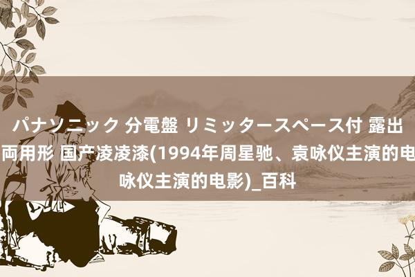 パナソニック 分電盤 リミッタースペース付 露出・半埋込両用形 国产凌凌漆(1994年周星驰、袁咏仪主演的电影)_百科