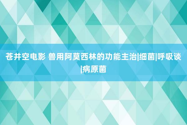 苍井空电影 兽用阿莫西林的功能主治|细菌|呼吸谈|病原菌