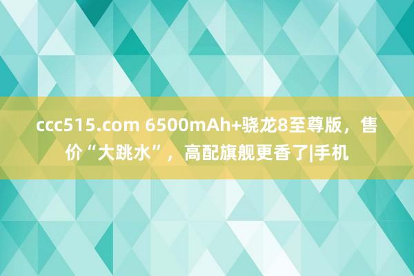 ccc515.com 6500mAh+骁龙8至尊版，售价“大跳水”，高配旗舰更香了|手机